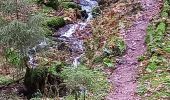 Randonnée Marche Gérardmer - gerardmer saut de la bourrique cascade merel - Photo 13