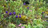 Trail Walking Roquebrune-sur-Argens - SityTrail - Les 25 ponts-Roquebrune sur Argens-28-01-22 - Photo 13