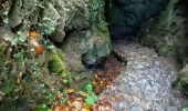 Tour Wandern Dinant - Parc naturel Furfooz - Photo 1