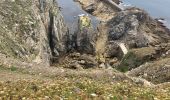 Randonnée Marche Plogoff - Pointe du Raz - Photo 8