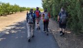 Tour Wandern Nîmes - Régordane 9 - Nîmes-St Gilles - Photo 4