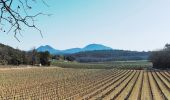 Tour Wandern Bras - 2021 04 01 brue auriac_pont de sumian@argens - Photo 3