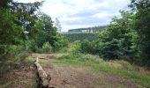 Trail Walking Houffalize - Cetturu 300725 - Photo 6