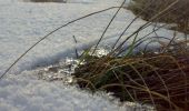 Percorso A piedi Neszmély - Piros négyzet (Neszmély - Dunaszentmiklós - Látó-hegyi szőlők, településhatár) - Photo 2