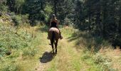 Trail Horseback riding Ban-sur-Meurthe-Clefcy - Randonnée Delphine à clefcy  - Photo 5