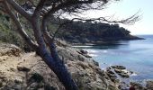 Tour Wandern La Croix-Valmer - Cap Lardier et Cap Taillat -  Boucle - Photo 1