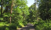 Tocht Stappen Choisy-au-Bac - en forêt de Laigue_7_06_2020_sur les routes de la Fontaine à Baril_Belle Assise_Plessis-Brion_chemin de Voie d'Eau - Photo 19