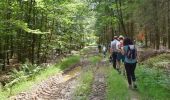 Tour Wandern Theux - 20230710 - Theux 8 Km - Photo 15