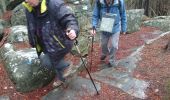 Trail Walking Fontainebleau - la faisanderie 23 décembre 2022  - Photo 3