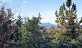 Trail Walking Saumane - saumane goi contras 17.84kms 1090m  - Photo 4