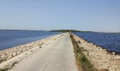 Tocht Mountainbike Sainte-Marie-du-Lac-Nuisement - Lac du DER ... par la digue submersible.  - Photo 3