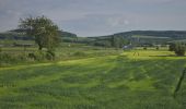 Randonnée A pied Kolín - [Ž] Kolín - Záboří nad Labem - Photo 3