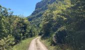 Trail Walking Cize - Cize  - Photo 18
