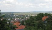 Tour Zu Fuß Alsbach-Hähnlein - Rundwanderweg Alsbach-Hähnlein Herzog-Ulrich-Ruhe 1: Haimonskinder-Weg - Photo 8