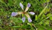 Tour Wandern Lodève - Lodève - La Solitude - Les Grasseries - Photo 13