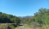 Trail Walking Ansignan - sentier des dolmens en fenouillèdes - Photo 12