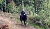 Trail Horseback riding Bastogne - Livarchamps 18/09/2022 - Photo 1