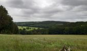 Tocht Stappen Trois-Ponts - autour de Wannes et Henimont - Photo 2