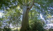 Tour Wandern Grez-Doiceau - GRP 127: de Archennes à Wavre - Photo 2