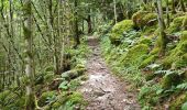 Trail Walking Rochesson - boucle rochesson - cascade du battion - rocher de la vierge - saut du bouchot - rochesson  - Photo 18