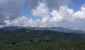 Randonnée Marche Châtillon-en-Diois - la Montagnette par le Grand Pas - Photo 2