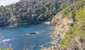 Tocht Stappen Hyères - Giens boucle ouest - Photo 14