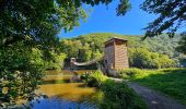 Trail Walking Bouillon - Le Sentier des Points de Vues - Bouillon - Photo 13