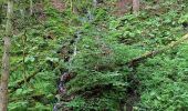 Tour Wandern Gerdsee - le saut de la bourique Gérardmer 08/08/23 - Photo 4