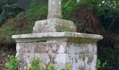 Tour Wandern Treffléan - PR_56_Trefflean_BA_02_Chemin-De-Cran_Circuit1b_20240507 - Photo 7