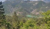 Tour Wandern La Motte-Chalancon - Boucle à Cornillon - Photo 1