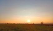 Trail Walking Hamoir - comblain la tour . hoyemont . oneux . comblain la tour - Photo 9