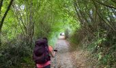 Trail Walking Ostabat-Asme - GR 65 Ostabat > Saint Jean Pied de Port  - Photo 17