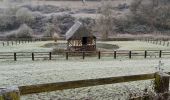 Trail Walking Valorbiquet - Aux alentours de St Cyr du Ronceray  - Photo 8