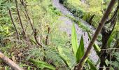 Tour Wandern Entre-Deux - L'entre deux l'arche naturelle  - Photo 3