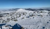 Excursión Esquí de fondo Saint-Front - 2022 01 randonnées en MEZENC : montée au Mont MEZENC et tour du Mont d’Alambre. - Photo 5