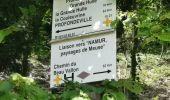 Trail Walking Profondeville - PROFONDEVILLE ... par Roquebrune. - Photo 8