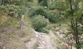 Trail Walking Villard-de-Lans - Le Pic Saint-Michel (Villard-de-Lans) - Photo 20