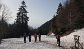 Tocht Stappen Plateau-des-Petites-Roches - Pravouta en traversée par la face Est - Photo 1