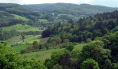 Tour Zu Fuß Fischbachtal - Rundwanderweg Fischbachtal Ruhehain 2: Spitzestein-Weg - Photo 6