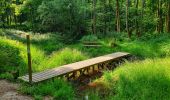 Randonnée Marche Gerpinnes - Balade dans le bois de Loverval - Photo 2