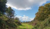 Tocht Stappen L'Albère - ullat - san-cristau / retour par la piste  - Photo 8