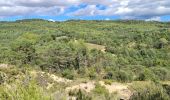 Percorso Marcia Montagnac-Montpezat - Montpezat - Gorges de Baudinard - Photo 2