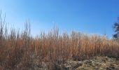 Trail Walking Bertrix - marche adeps biourge - Photo 8