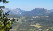 Tocht Stappen La Bastide - LA BASTIDE - DU BROUIS A L'ARTUBY - Photo 16