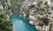 Tour Wandern Montmeyan - les basses gorges du Verdon  - Photo 4