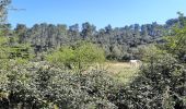 Tour Wandern Tarascon - CR_Domitia_BA_23_Tarascon_St-Remy-Provence_20220404 - Photo 7