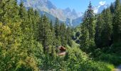 Trail Walking Pralognan-la-Vanoise - Les Hauts de la Vanoise Pont Gerlon  - Photo 2