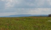 Trail Walking Héricourt - Héricourt - Pierre Plate - Sentier de découverte - Photo 2