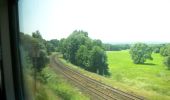 Tour Zu Fuß Martinlamitzer Forst Nord - Oberkotzau-Kornberg - Photo 8