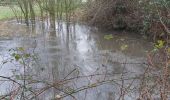 Trail Walking Cormeilles - cormeilles - Photo 13